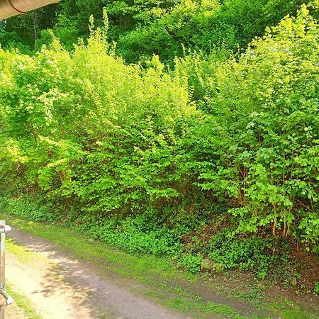 Appartamento La Demeure Des Forges Grandfontaine  Esterno foto