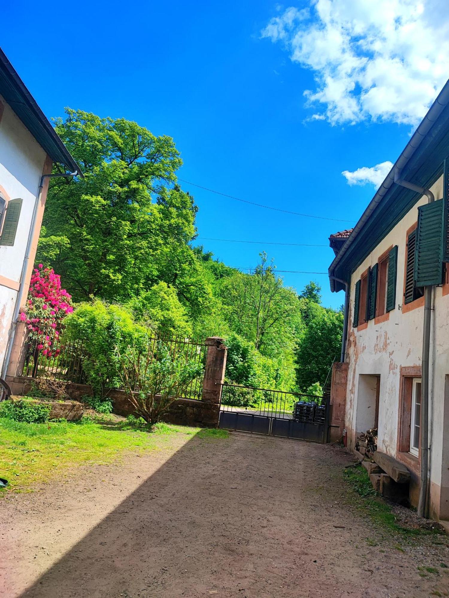 Appartamento La Demeure Des Forges Grandfontaine  Esterno foto