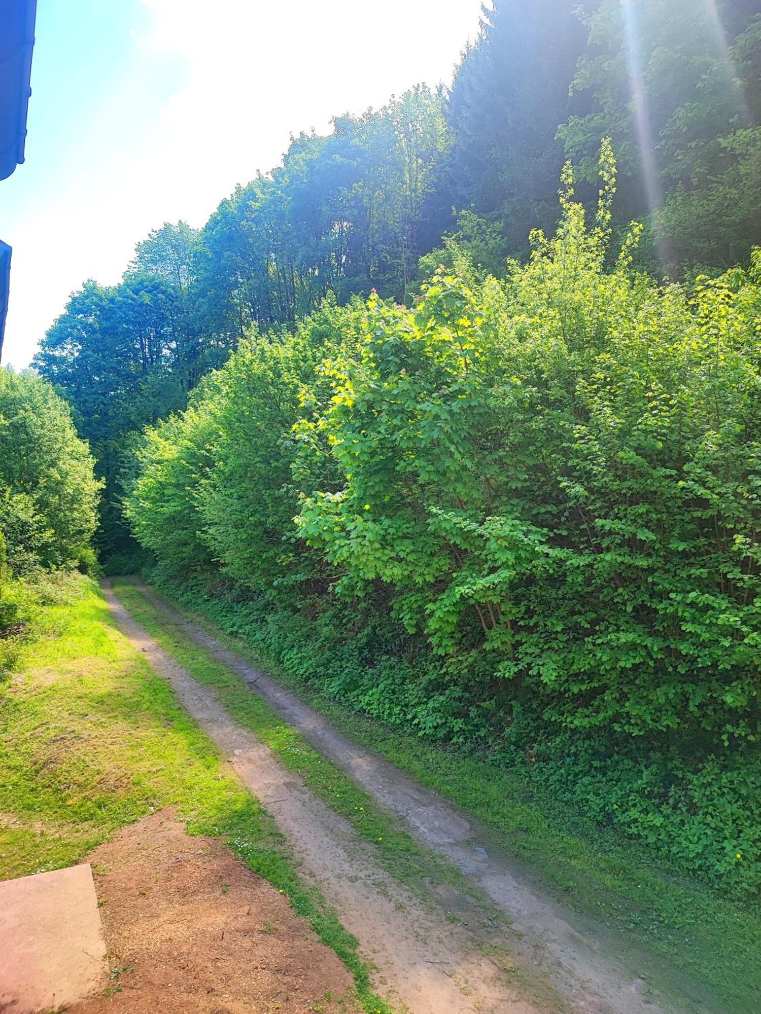 Appartamento La Demeure Des Forges Grandfontaine  Esterno foto