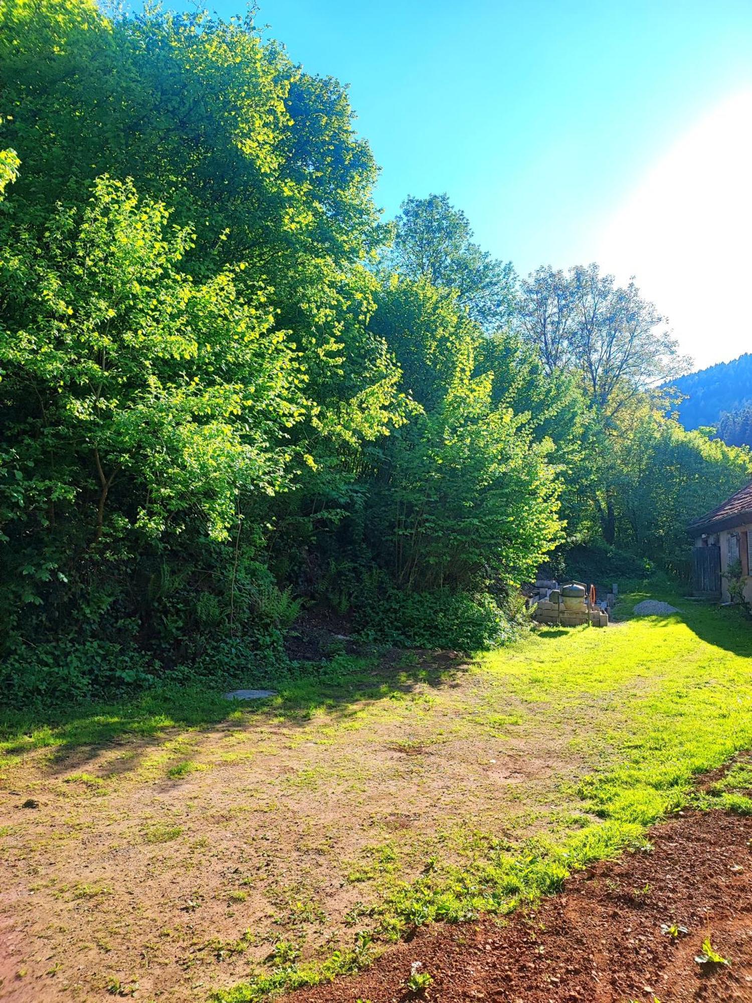 Appartamento La Demeure Des Forges Grandfontaine  Esterno foto