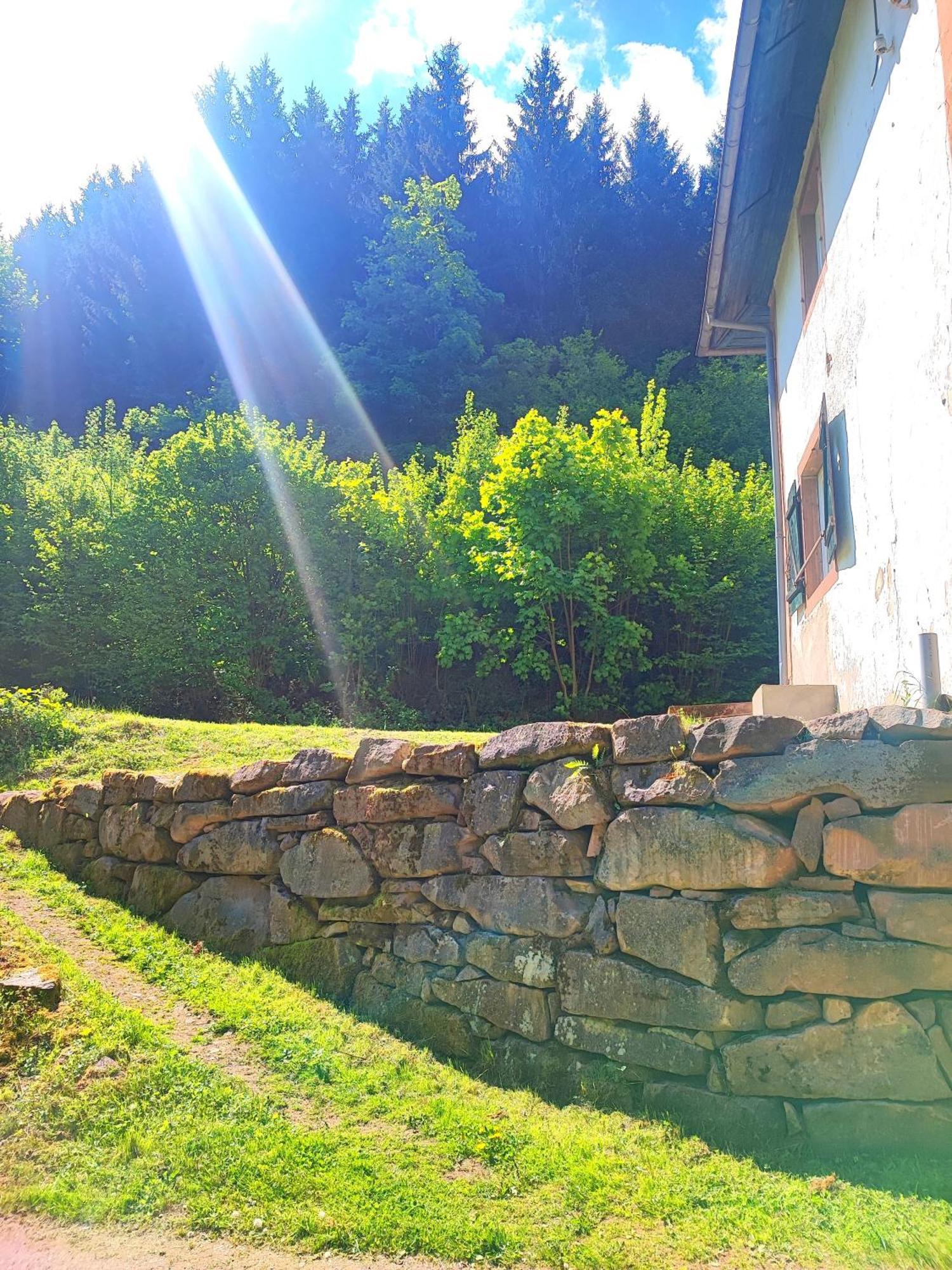 Appartamento La Demeure Des Forges Grandfontaine  Esterno foto