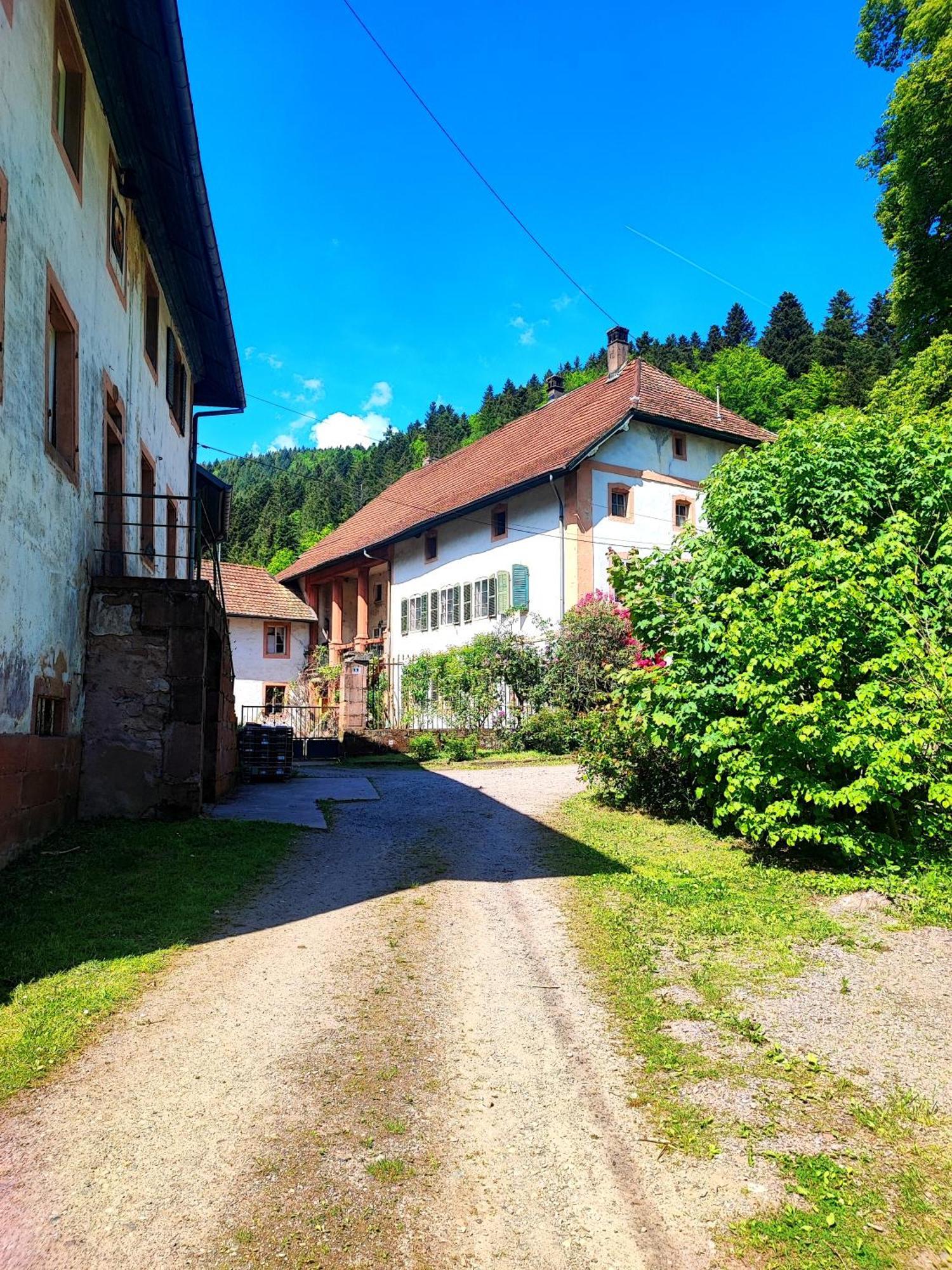 Appartamento La Demeure Des Forges Grandfontaine  Esterno foto