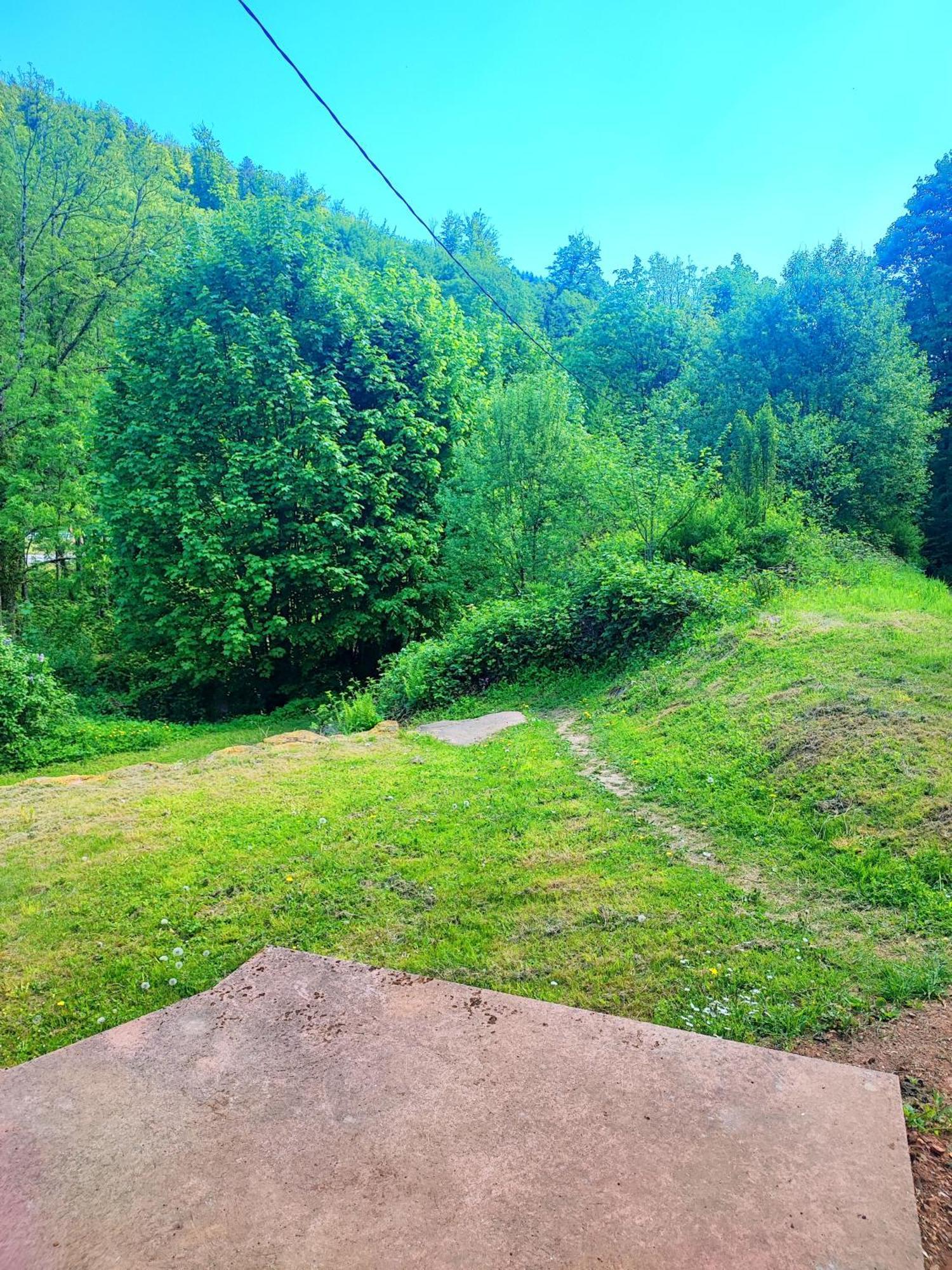 Appartamento La Demeure Des Forges Grandfontaine  Esterno foto