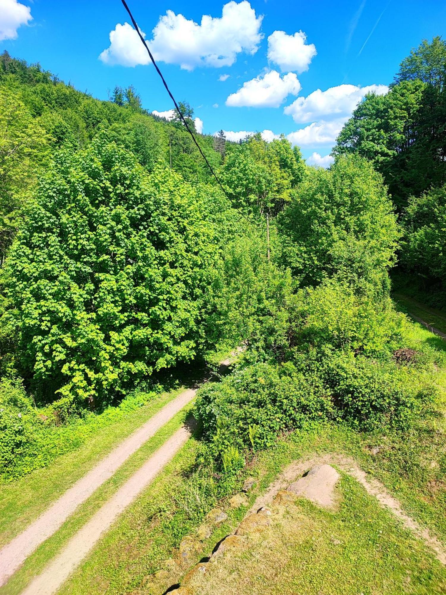 Appartamento La Demeure Des Forges Grandfontaine  Esterno foto