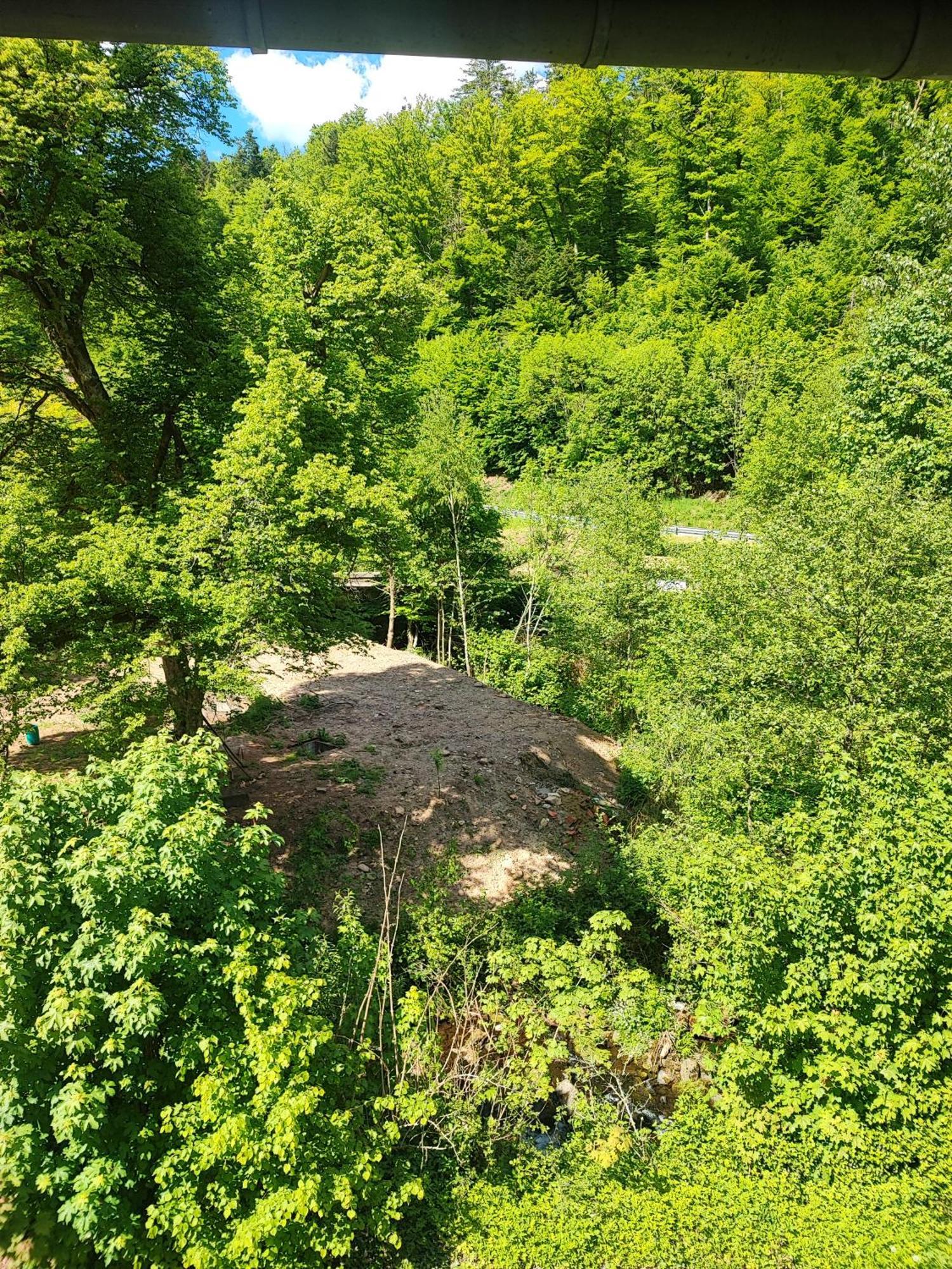 Appartamento La Demeure Des Forges Grandfontaine  Esterno foto