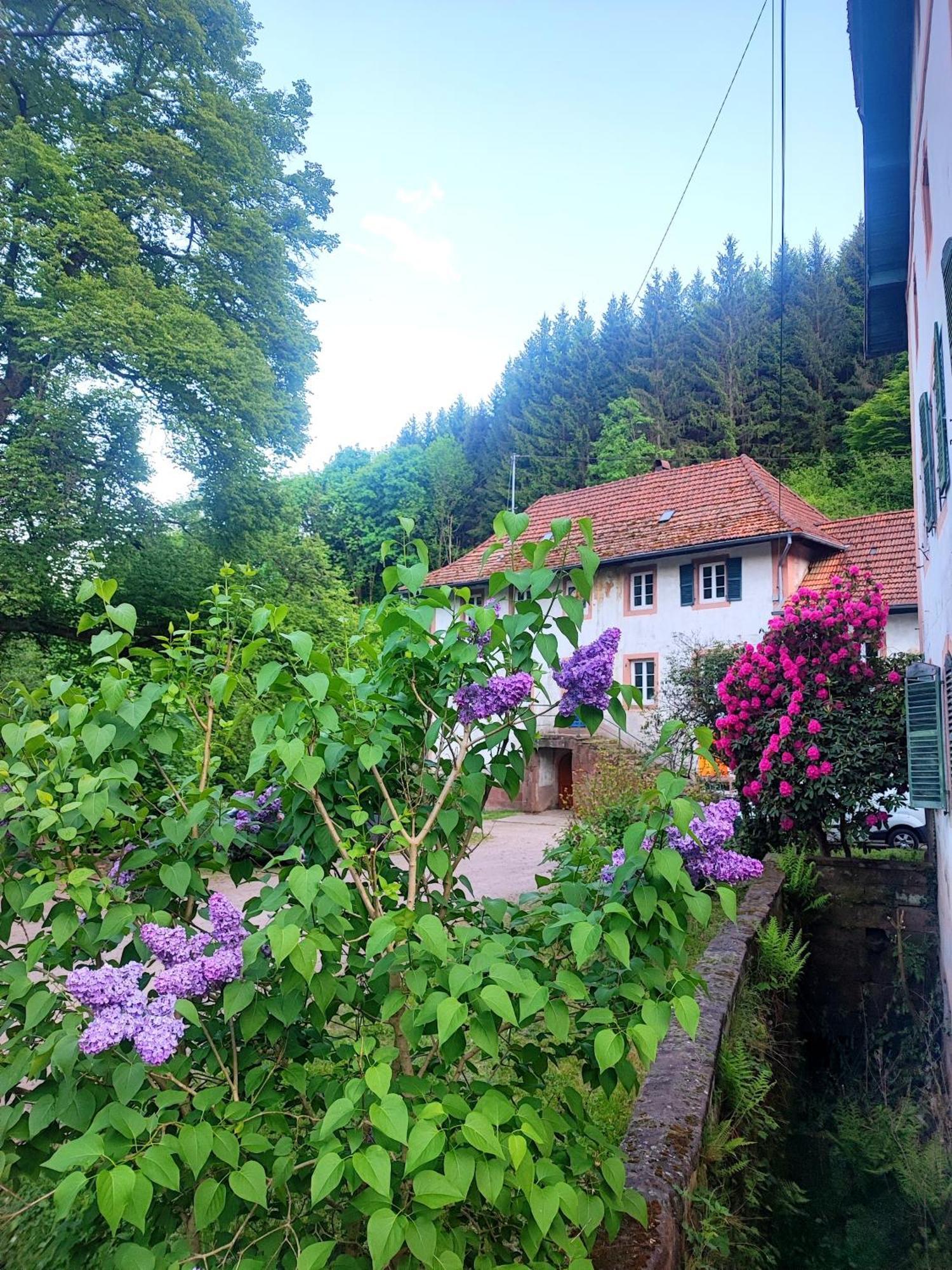 Appartamento La Demeure Des Forges Grandfontaine  Esterno foto